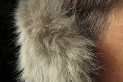 Ohrenschützer Rotfuchs