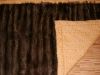 Waschbär-Decke
